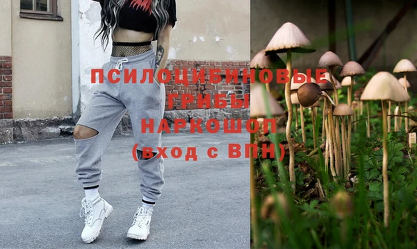 гидропоника Зерноград