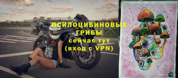 стафф Калининец