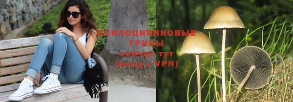 гидропоника Зерноград